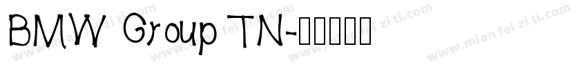 BMW Group TN字体转换